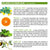 Firming Serum | Miracle Skincare Remedies | Derma-Nu
