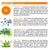 Vitamin C Serum | Miracle Skincare Remedies | Derma-Nu